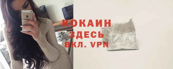 ешки Алексин