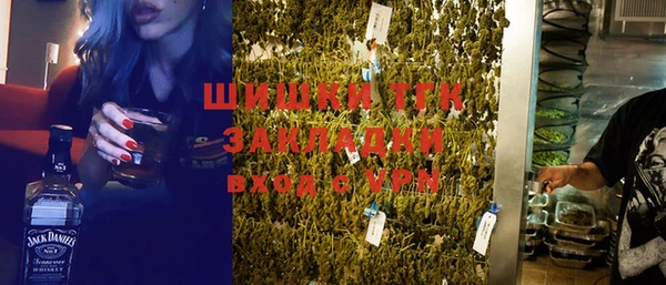 ешки Алексин