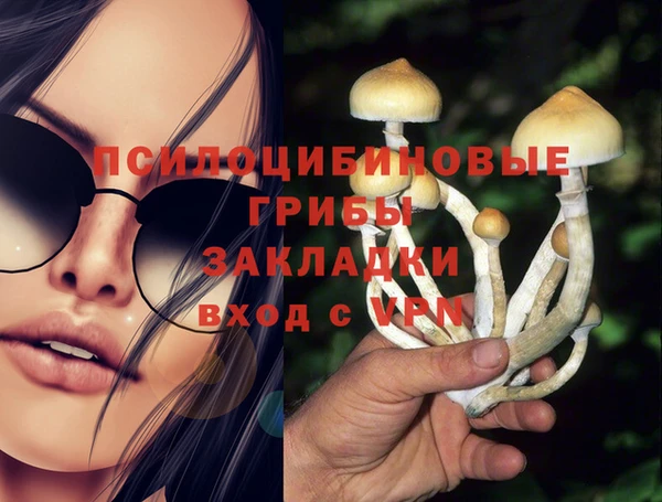 ешки Алексин