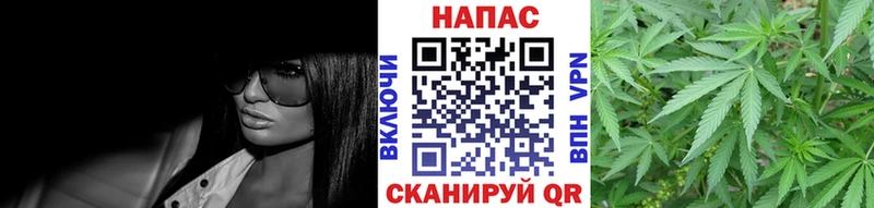 Бошки марихуана гибрид  Опочка 